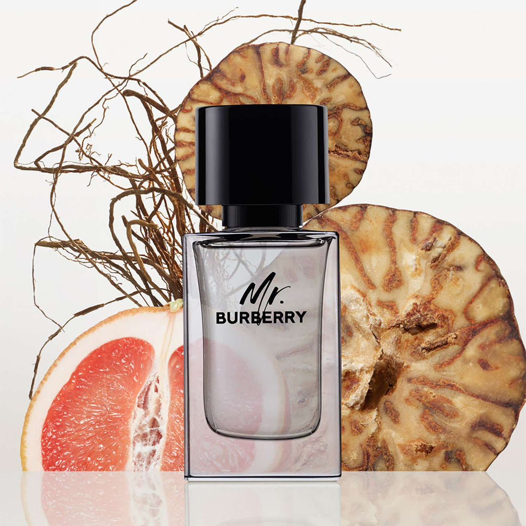Burberry Mr. Burberry Eau De Toilette (100ml)