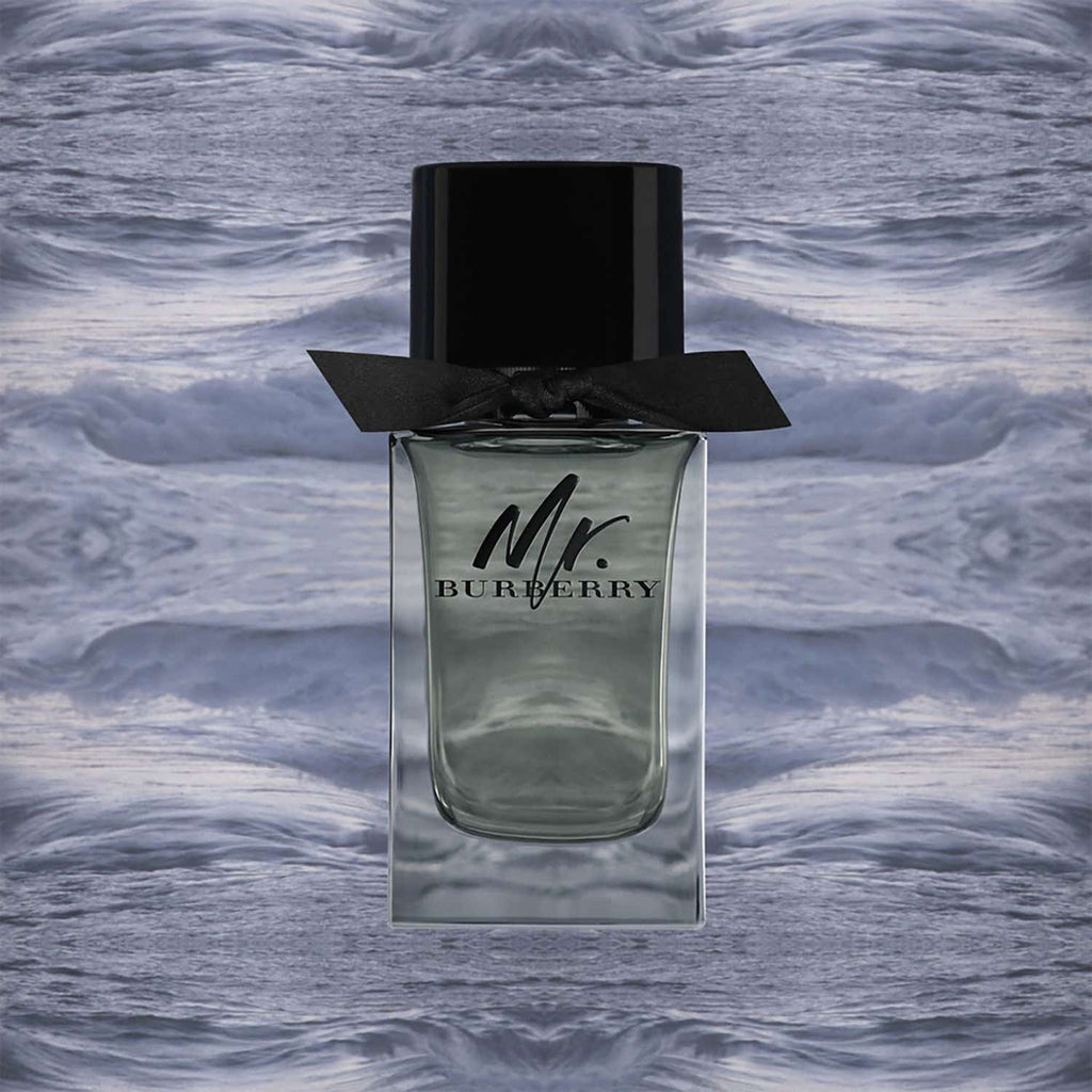 Burberry Mr. Burberry Eau De Toilette (100ml)